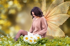 Clover-Daisies
