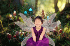 Fairy-and-Garden-2