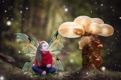 Mushroom-2